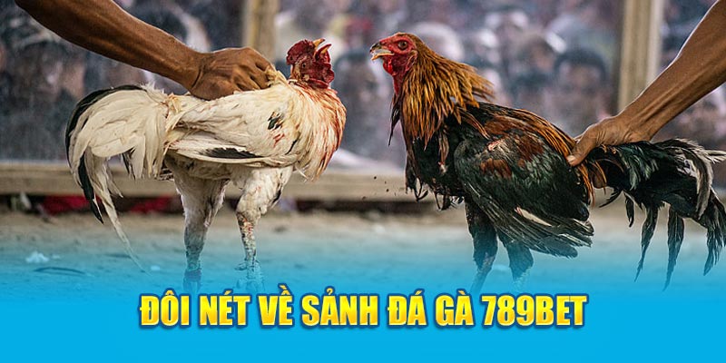 Đôi nét về sảnh đá gà 789bet